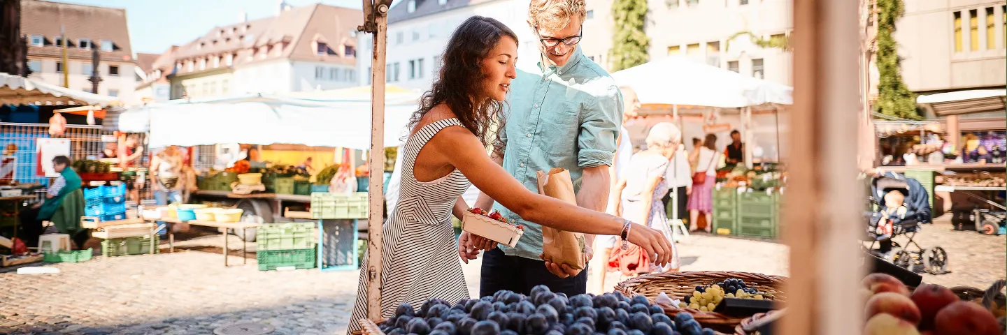 Fernstudium Stadtplanung | WINGS-Fernstudium