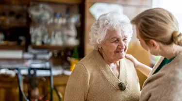 Weiterbildung Sachkunde Berufsbetreuung | WINGS-Fernstudium