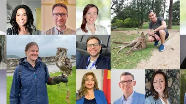 Collage Testimonial | WINGS-Fernstudium