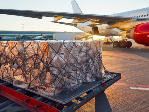 Handel & Logistik | WINGS-Fernstudium