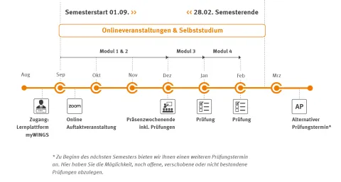 Master Medizintechnik & Management | WINGS-Fernstudium