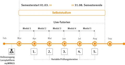 Zeitstrahl Bachelor Management, Digitalisierung und Nachhaltigkeit
