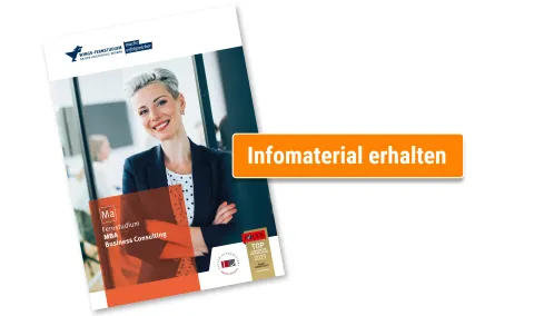 Master Business Consulting Broschuere anfordern | WINGS-Fernstudium
