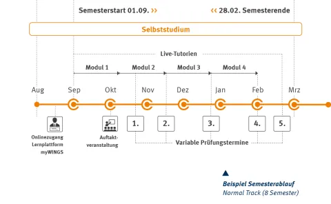 Bachelor Sportmanagement | WINGS-Fernstudium