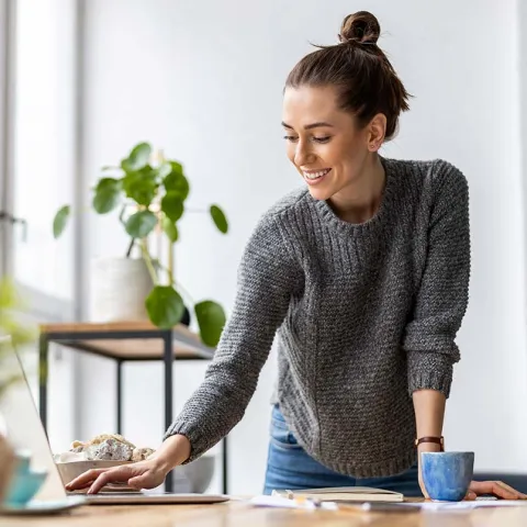 Flexibel studieren | WINGS-Fernstudium